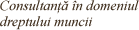 Consultanta in domeniul dreptului muncii
